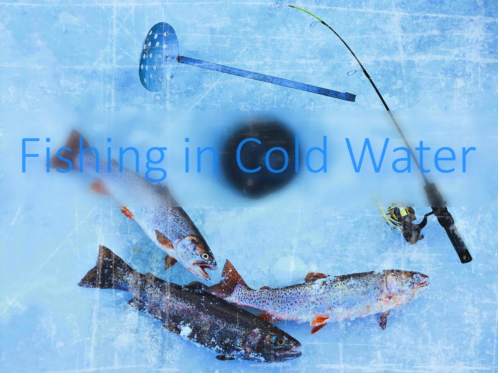 Slika Za Pecanje Po Zimi